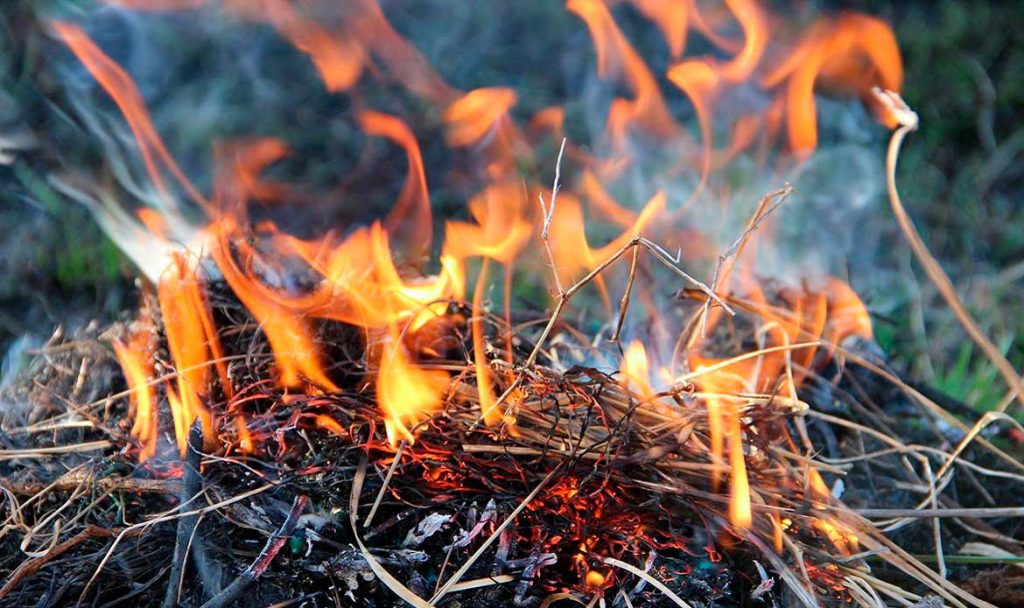 В Тульской области – 4 класс пожароопасности